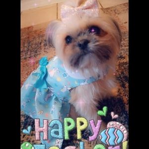 Meet your Posher, Ale